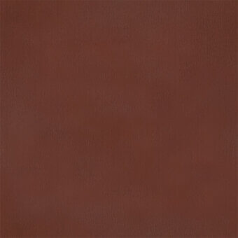 Reddish-brown leather texture with a smooth, matte finish and subtle mottled grain, displaying warm terracotta undertones and a pliable surface.